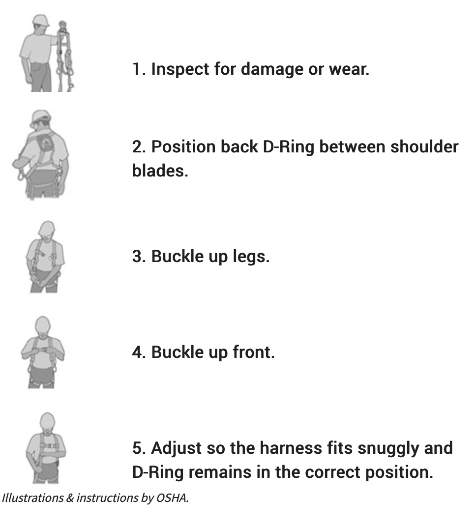 How to Fit a Harness